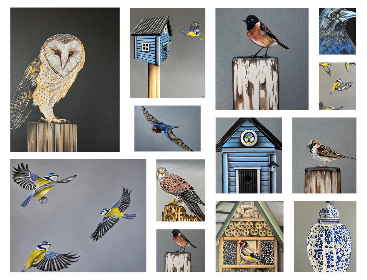 ventryweather's tweet photo. Amazing exhibition "Birdwatch" by Artist Jenny McCarthy @ventrybeach taking place at Rice House in Dingle (top of Green Street) this weekend for @feilebealtaine 👉🏿 https://t.co/4V50tNB6cT