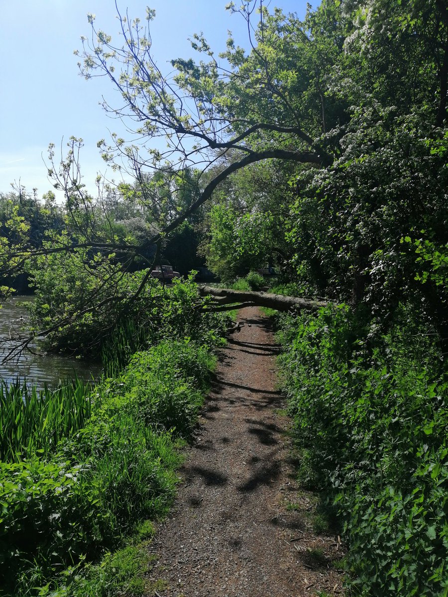 Trees down near 3 locks soulbury
<a href="/CanalRiverTrust/">Canal & River Trust</a> #canalrivertrust