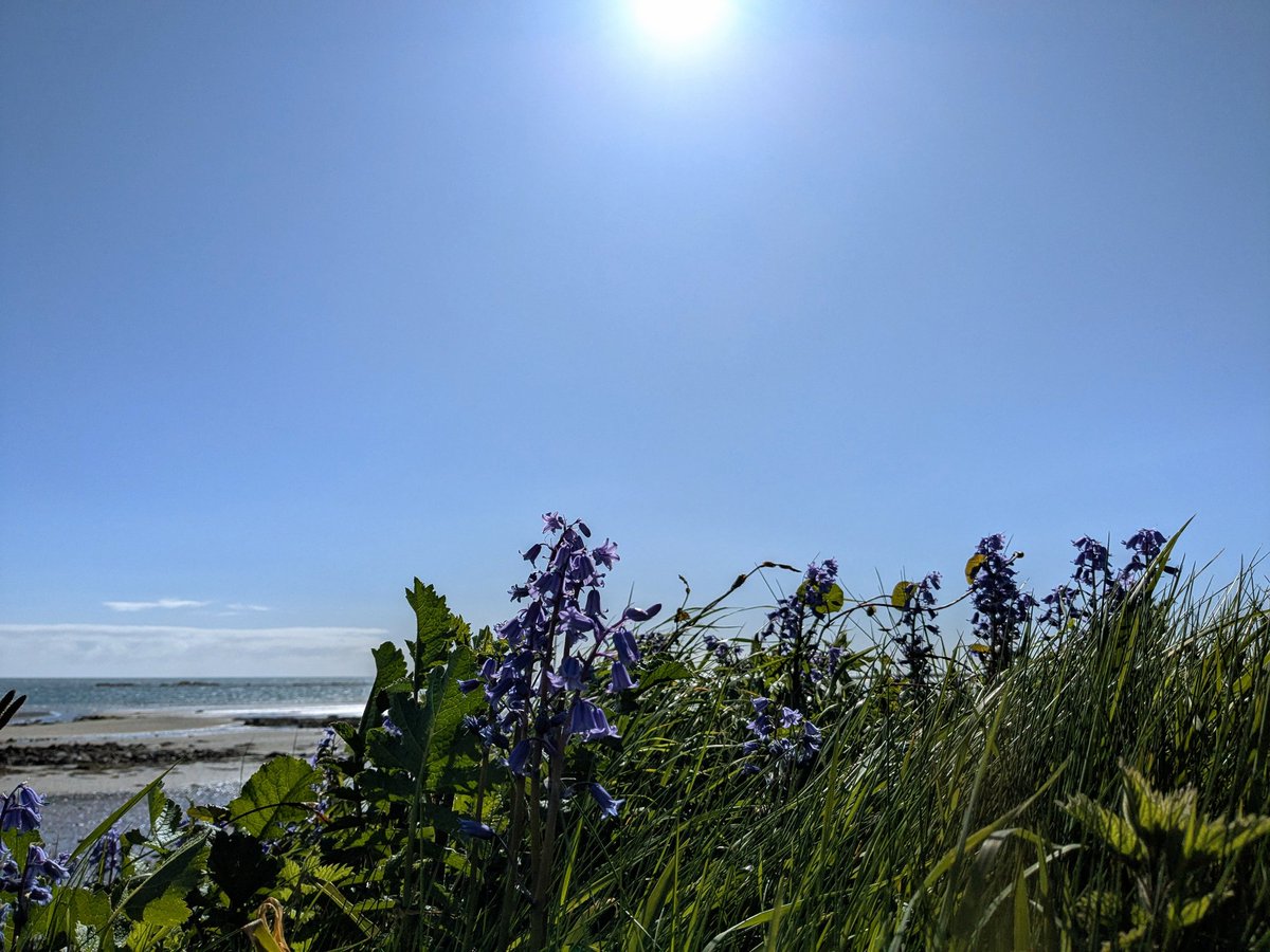 Glorious morning coffee and a walk 🌞☕ #Goodmorning #world #saturday #vibes #haveagoodday