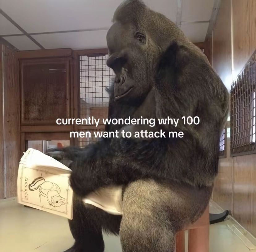 🕐HOURLY🕑 shitpost tweet media