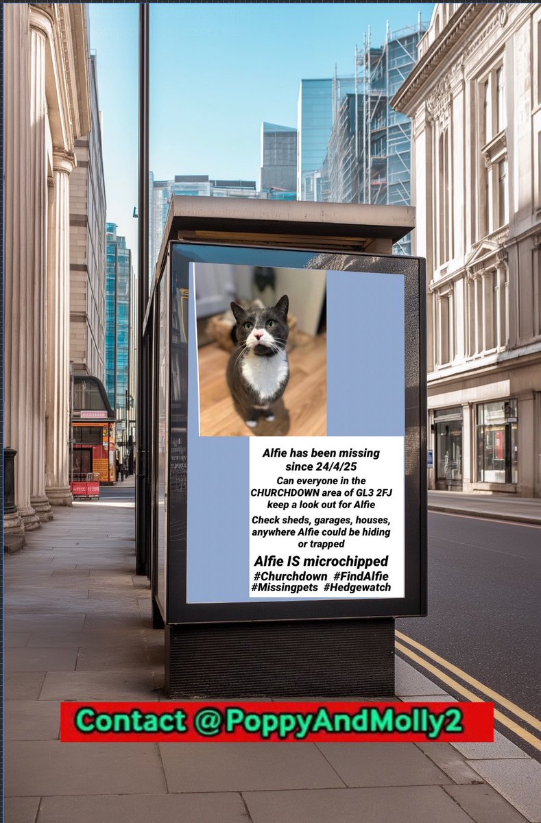 Please dear pals can I ask you to join in the #Twitterstorm for my dear Alfie this evening between 7-8pm UK 🙏 he has to be somewhere and we need to keep his profile high to find him ❤️ Thank you so much Love  from Alfie’s mum Alison ❤️ #FindAlfie #Churchdown