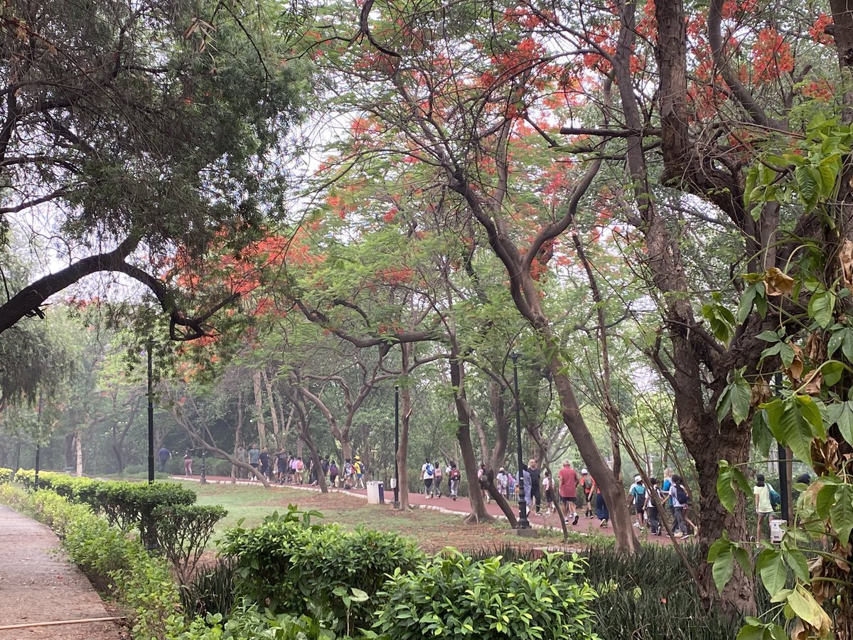 We have such a brief opportunity to pass on to children our love for this Earth. What a privilege to be outdoors with children for our first pre-trek walk <a href="/TBS_Delhi/">TBS Delhi</a>. Thank you to the chaperones for their enthusiasm and to the chn who showed up in large numbers. #letsgetoutdoors