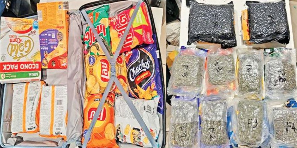 DRI, Customs seize ₹39 crore worth hydroponic weed at Ahmedabad airport