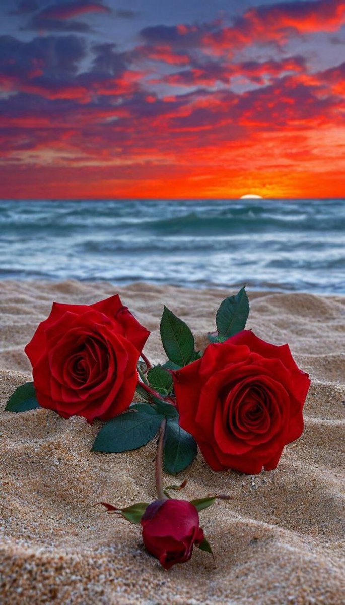 ❤️S.zahra❤️ (@zahrat_lotas) on Twitter photo <a href="/TaposKumarBasu/">⭐✳️🇮🇳तापोस🇮🇳✳️⭐</a> <a href="/fryld/">Fryl dnc</a> <a href="/1redroc/">𝕽𝖊𝖉𝖗𝖔𝖈𝖐</a> <a href="/Eileen77777/">Eileen🤍🕊️</a> <a href="/PosiePosie1212/">Posie</a> <a href="/Leah2477/">Leah</a> <a href="/Biryaa98/">sabi</a> <a href="/7Keendo/">🦅ӄɛɛռɖօ</a> <a href="/E93Khana/">Иверкана Iverkhana</a> <a href="/V13lula/">Karen Lúcia♀️🚩🌵</a> <a href="/2015Suheyla/">Süheyla</a> <a href="/virgyane/">Luz Mary.</a> <a href="/Aina_A_to_Z/">Aina ☆アイナ🐈☆*.。.🌟カわュƖ ı絵ヲ描ㄑねコ🐱ƒ ̵̲˝꒭❤ ✨🐰🦄🏹</a> <a href="/iVelkhana93/">Telegram🙋♀ Иверкана Iverkana🇰🇿</a> <a href="/3_toshiyuki/">toshiyuki (I like new things.)</a> <a href="/tyten67237068/">Ten Reice Dizon</a> <a href="/ZyasRicky/">Ricky Zayas C</a> <a href="/OcakAyhan/">🇹🇷🇵🇸Ocak Ayhan 💙🌷</a> <a href="/karla_newbi/">Karla golbahar newbi</a> <a href="/GinaJardines/">Cleopatra</a> <a href="/scouse_kim/">scouse kim</a> <a href="/louca_chri33156/">Christos Louca</a> <a href="/TaposKumarBasu/">⭐✳️🇮🇳तापोस🇮🇳✳️⭐</a> <a href="/fryld/">Fryl dnc</a> <a href="/1redroc/">𝕽𝖊𝖉𝖗𝖔𝖈𝖐</a> <a href="/Eileen77777/">Eileen🤍🕊️</a> <a href="/PosiePosie1212/">Posie</a> <a href="/Leah2477/">Leah</a> <a href="/Biryaa98/">sabi</a> <a href="/7Keendo/">🦅ӄɛɛռɖօ</a> <a href="/E93Khana/">Иверкана Iverkhana</a> <a href="/V13lula/">Karen Lúcia♀️🚩🌵</a> <a href="/2015Suheyla/">Süheyla</a> <a href="/virgyane/">Luz Mary.</a> <a href="/Aina_A_to_Z/">Aina ☆アイナ🐈☆*.。.🌟カわュƖ ı絵ヲ描ㄑねコ🐱ƒ ̵̲˝꒭❤ ✨🐰🦄🏹</a> <a href="/iVelkhana93/">Telegram🙋♀ Иверкана Iverkana🇰🇿</a> <a href="/3_toshiyuki/">toshiyuki (I like new things.)</a> <a href="/tyten67237068/">Ten Reice Dizon</a> <a href="/ZyasRicky/">Ricky Zayas C</a> <a href="/OcakAyhan/">🇹🇷🇵🇸Ocak Ayhan 💙🌷</a> <a href="/karla_newbi/">Karla golbahar newbi</a> <a href="/GinaJardines/">Cleopatra</a> <a href="/scouse_kim/">scouse kim</a> <a href="/louca_chri33156/">Christos Louca</a>