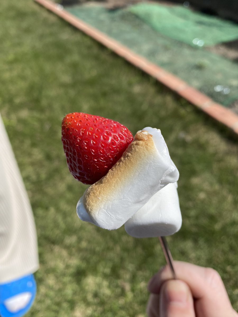 デザート突入！
焼きマシュマロとか久しぶりだー
