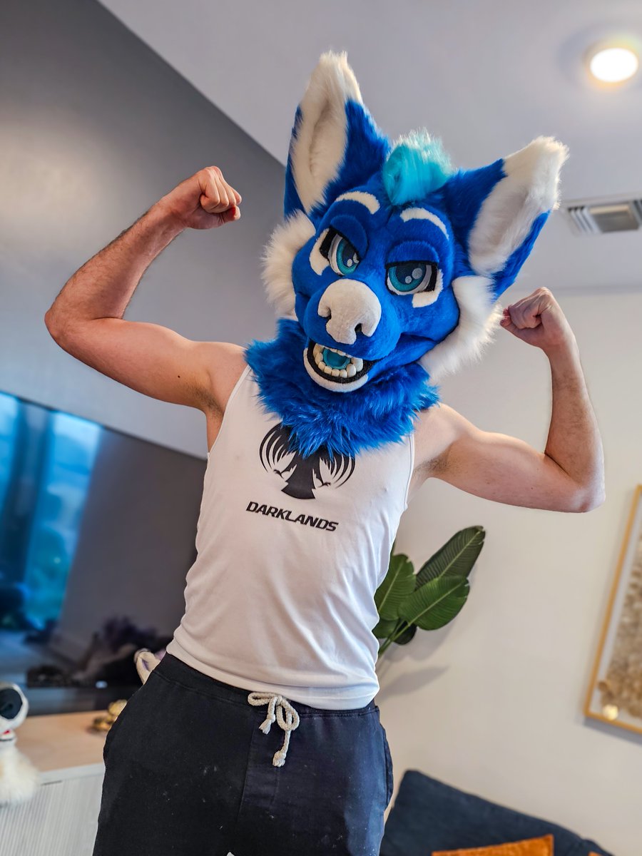 Gym dog 😏💪