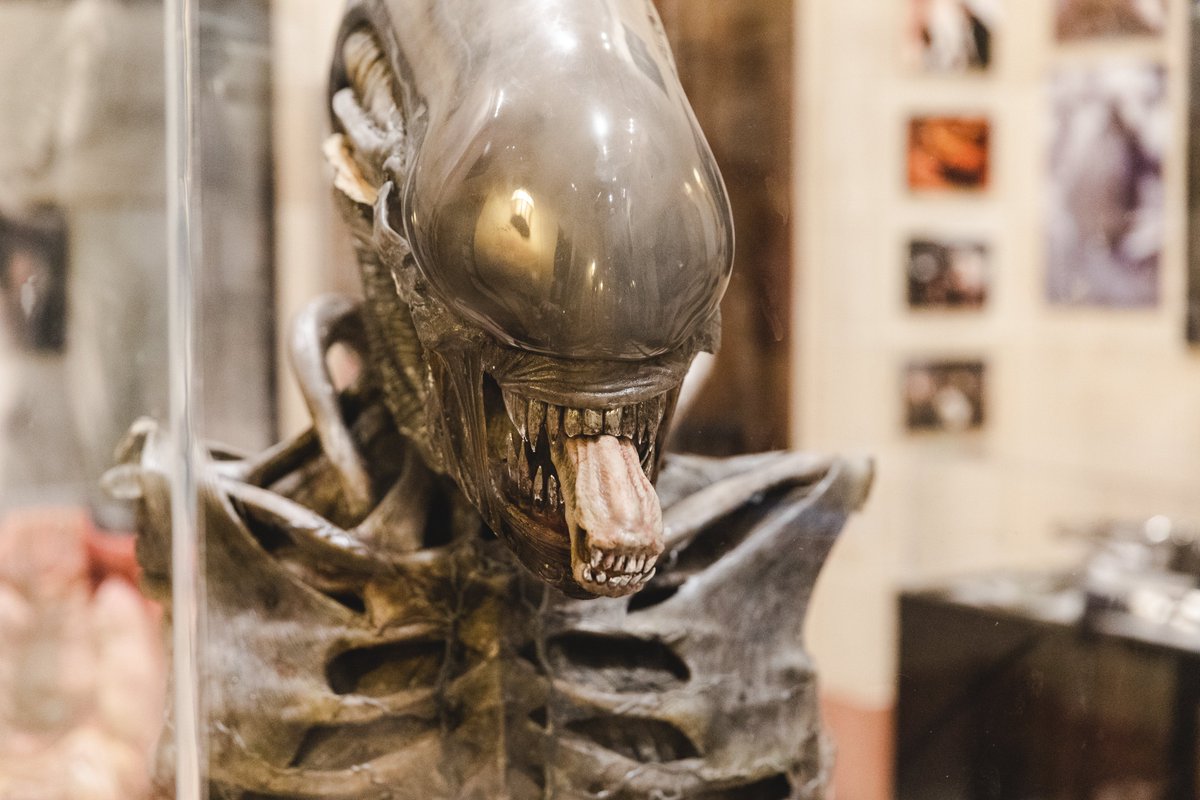 avpgalaxy's tweet photo. In 2019 Alien vs. Predator Galaxy had the opportunity to tour the USC's Alien 40th-Anniversary Exhibit. Our own RidgeTop & collaborator Mikey took loads of amazing photos of everything on display! #Alien #Aliens #Alien3 #AlienResurrection #Prometheus #AlienCovenant #Alien40 https://t.co/Y21CFrX31E