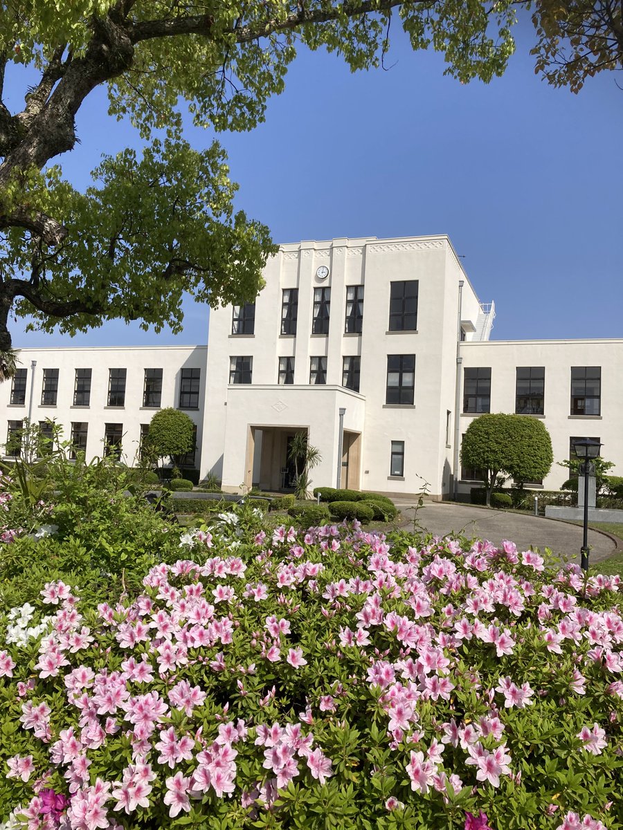 おでん野郎🍢 tweet media