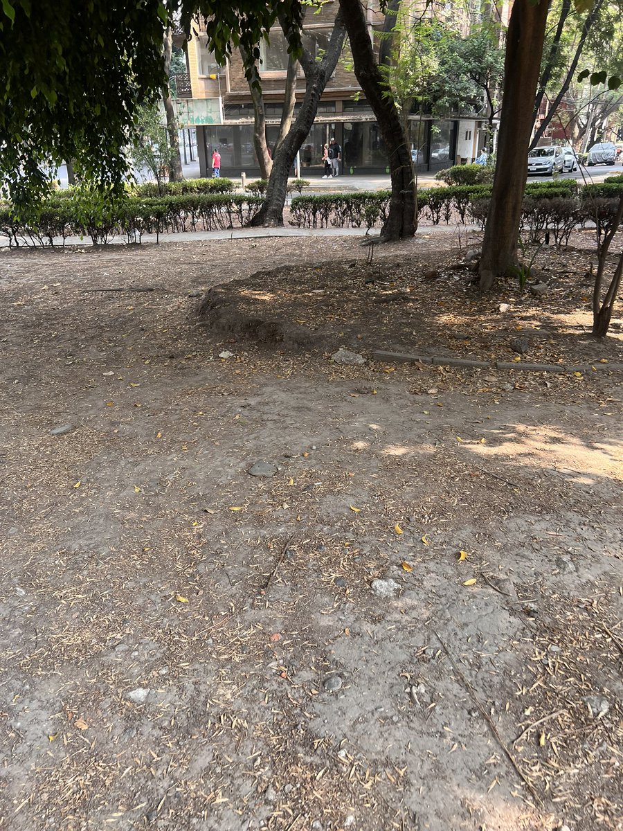 lex_mc's tweet photo. @lavozdepolanco @AlcaldiaMHmx que está pasando con la limpieza de los parques y jardines? Cada día m��s sucios y dejados y con menos botes de basura! Mariano Escobedo, Newton y Sudermann https://t.co/U5EwvRPwDq