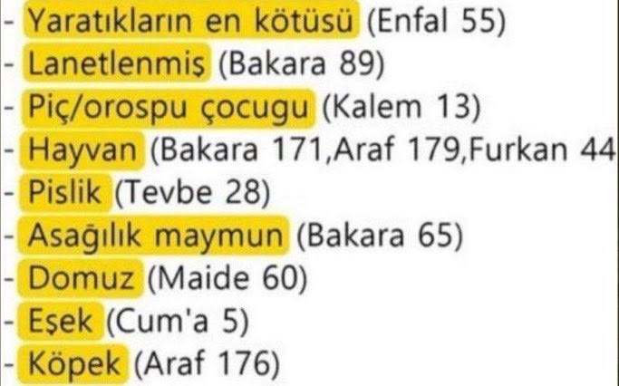 ayse ama fenerbahceli olan (@blooommkiko) on Twitter photo 