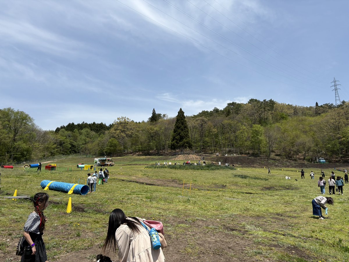 今日はドッグフェス！
でけードッグラン！