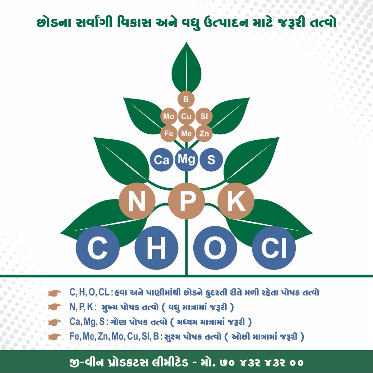 GvinGroupIndia's tweet photo. છોડના સર્વાંગી વિકાસ અને વધુ ઉત્પાદન માટે જરૂરી તત્વો...
#farming #NPK #NPKfertilizer #calcium #magnesium #sulphur #zinc #ferrous #boron #nitrogen #manganese #silica #gvingroup #fertilizer #micronutrients #CropCare #CropProtection #plantcare https://t.co/zZ7W56atx8