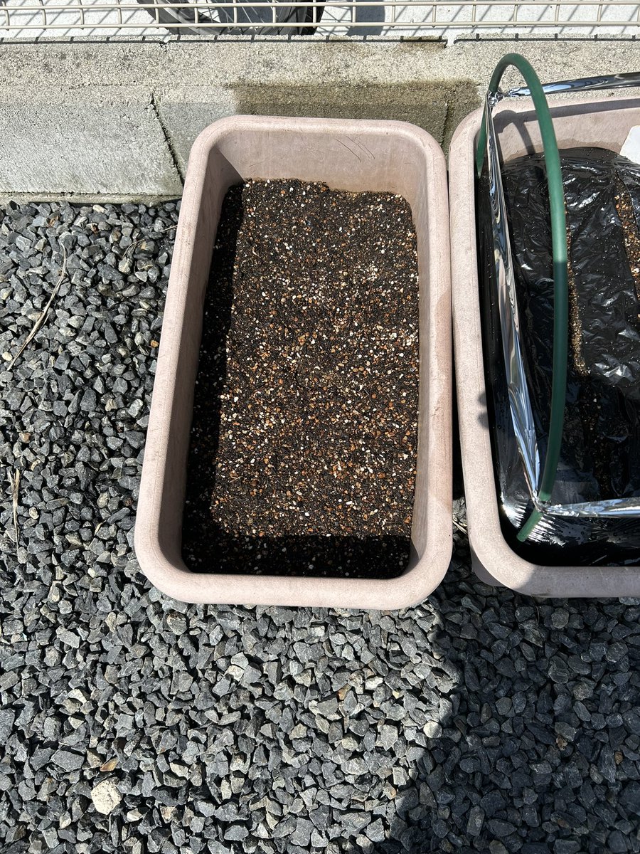 しずく🧡🌵@たにらー tweet media