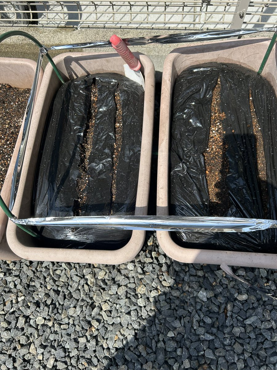 しずく🧡🌵@たにらー tweet media