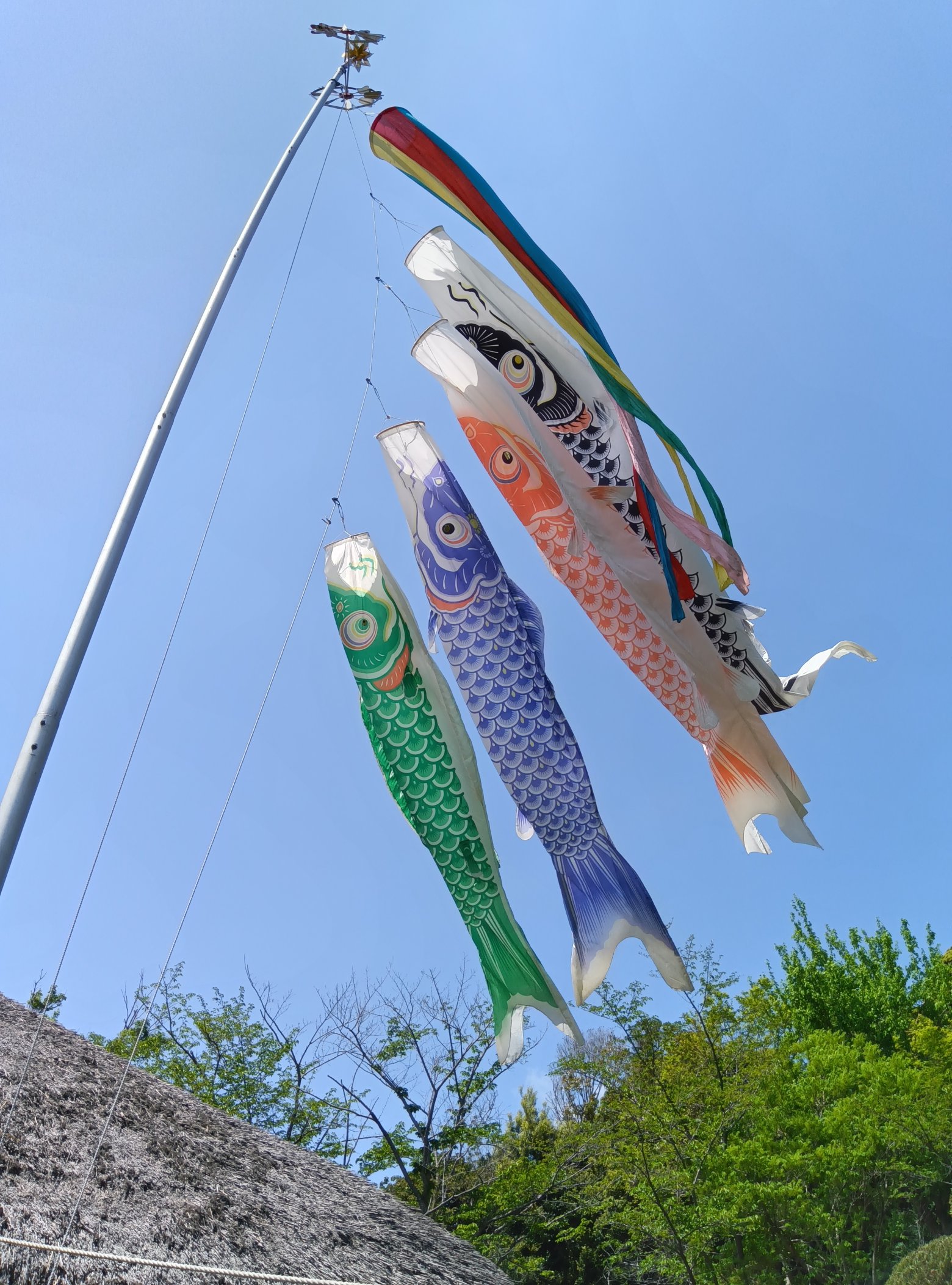 ■千葉県君津郡誌　　郷土史 千葉県十二郡誌：菜の花ライブラリー