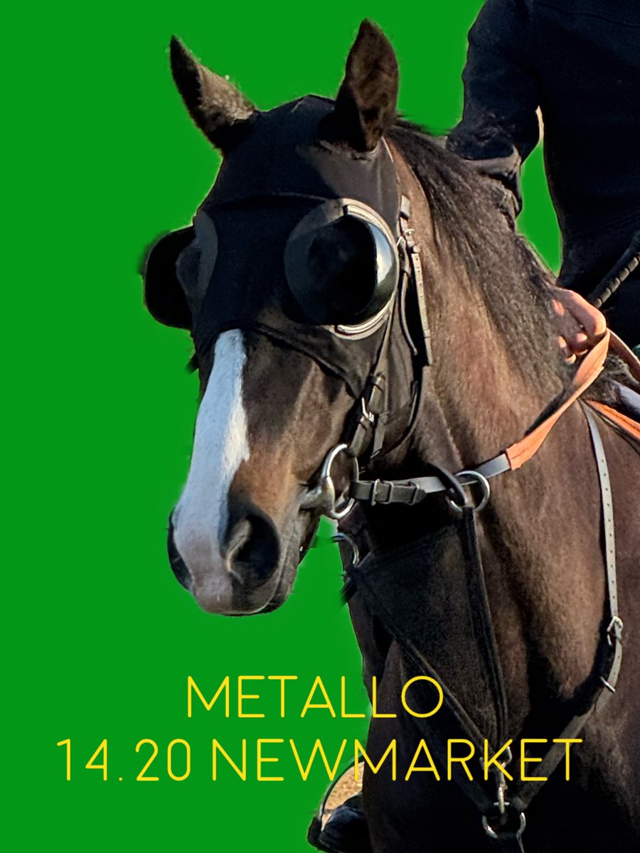 Recycled Products (@recycproducts) on Twitter photo His futures so bright he’s got to wear shades 😎 Since his win back in 2023 our <a href="/ChannonRacing/">Jack Channon Racing</a> trained ⭐️Metallo⭐️ has got a little distracted in his races 🙈 so today <a href="/NewmarketRace/">Newmarket Racecourse</a> we are trying a set of blinkers on him.
#KeepRecycling #Metallo His futures so bright he’s got to wear shades 😎 Since his win back in 2023 our <a href="/ChannonRacing/">Jack Channon Racing</a> trained ⭐️Metallo⭐️ has got a little distracted in his races 🙈 so today <a href="/NewmarketRace/">Newmarket Racecourse</a> we are trying a set of blinkers on him.
#KeepRecycling #Metallo