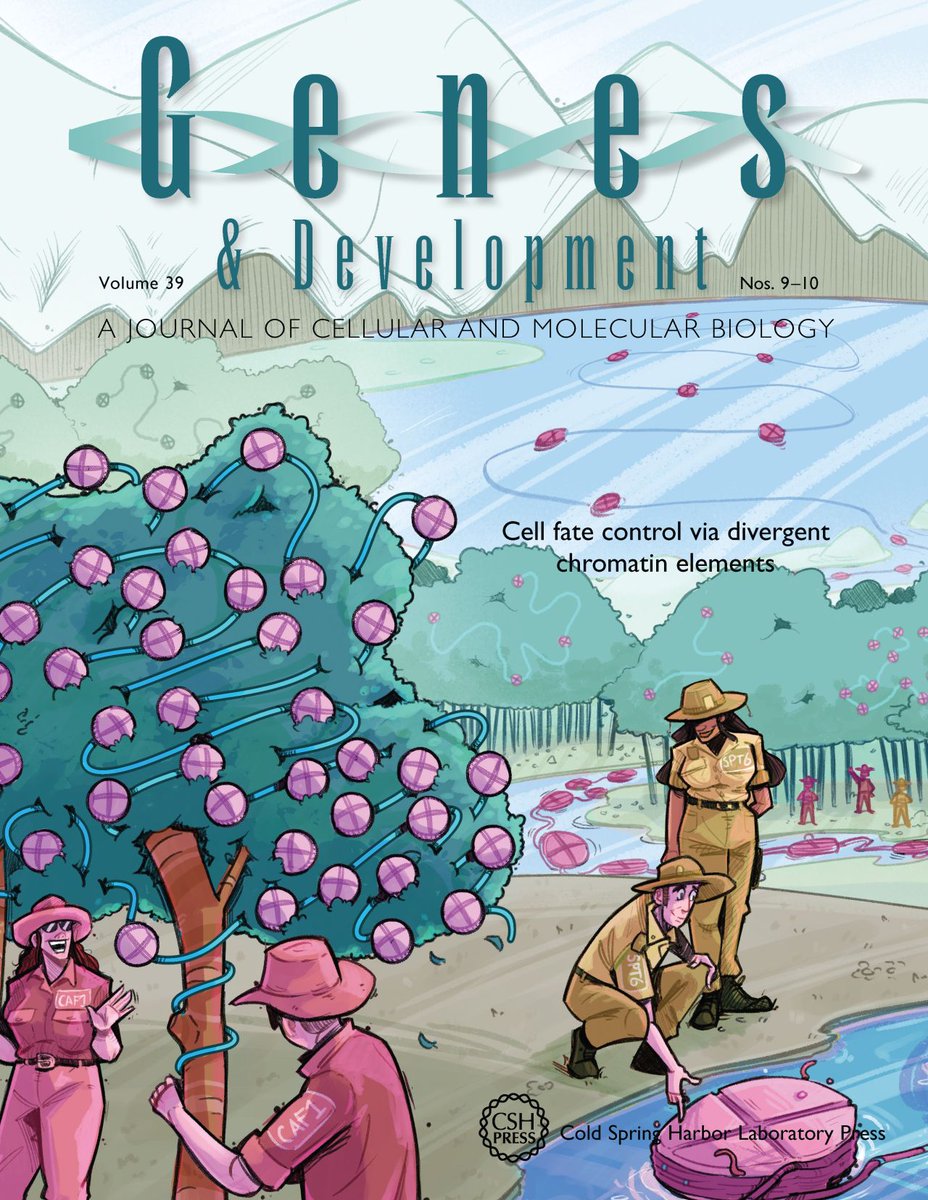 Sihem Cheloufi (@sihemcheloufi) on Twitter photo 1/2: Thrilled to see my lab’s work on #histone chaperones and cellular plasticity featured on the cover of <a href="/GenesDev/">Genes & Development</a> ! The cover was inspired by my love for science and nature. Read our full story in this month’s issue, along with <a href="/UCR_ScienceNews/">UCR Science News</a> digest! genesdev.cshlp.org/content/39/9-1… 1/2: Thrilled to see my lab’s work on #histone chaperones and cellular plasticity featured on the cover of <a href="/GenesDev/">Genes & Development</a> ! The cover was inspired by my love for science and nature. Read our full story in this month’s issue, along with <a href="/UCR_ScienceNews/">UCR Science News</a> digest! genesdev.cshlp.org/content/39/9-1…