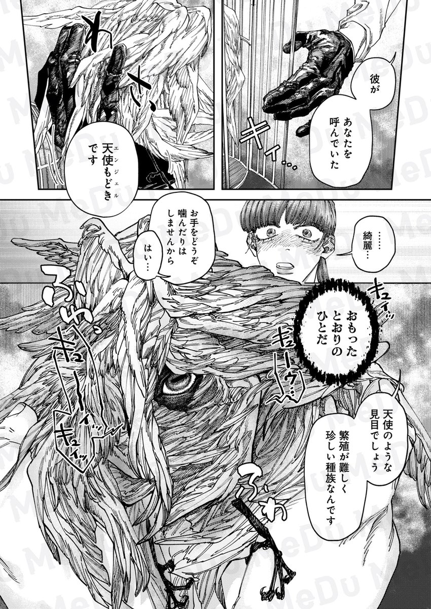 エンジェルさんを知っていますか?(3/6) 