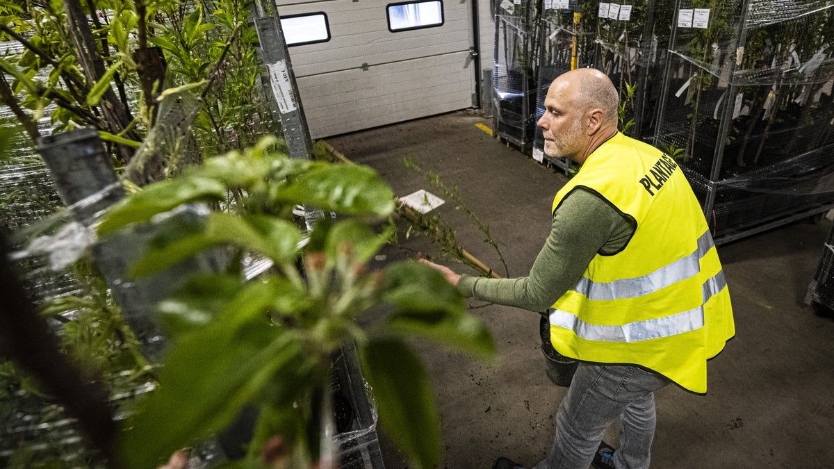 Helsingborgs Dagblad tweet media