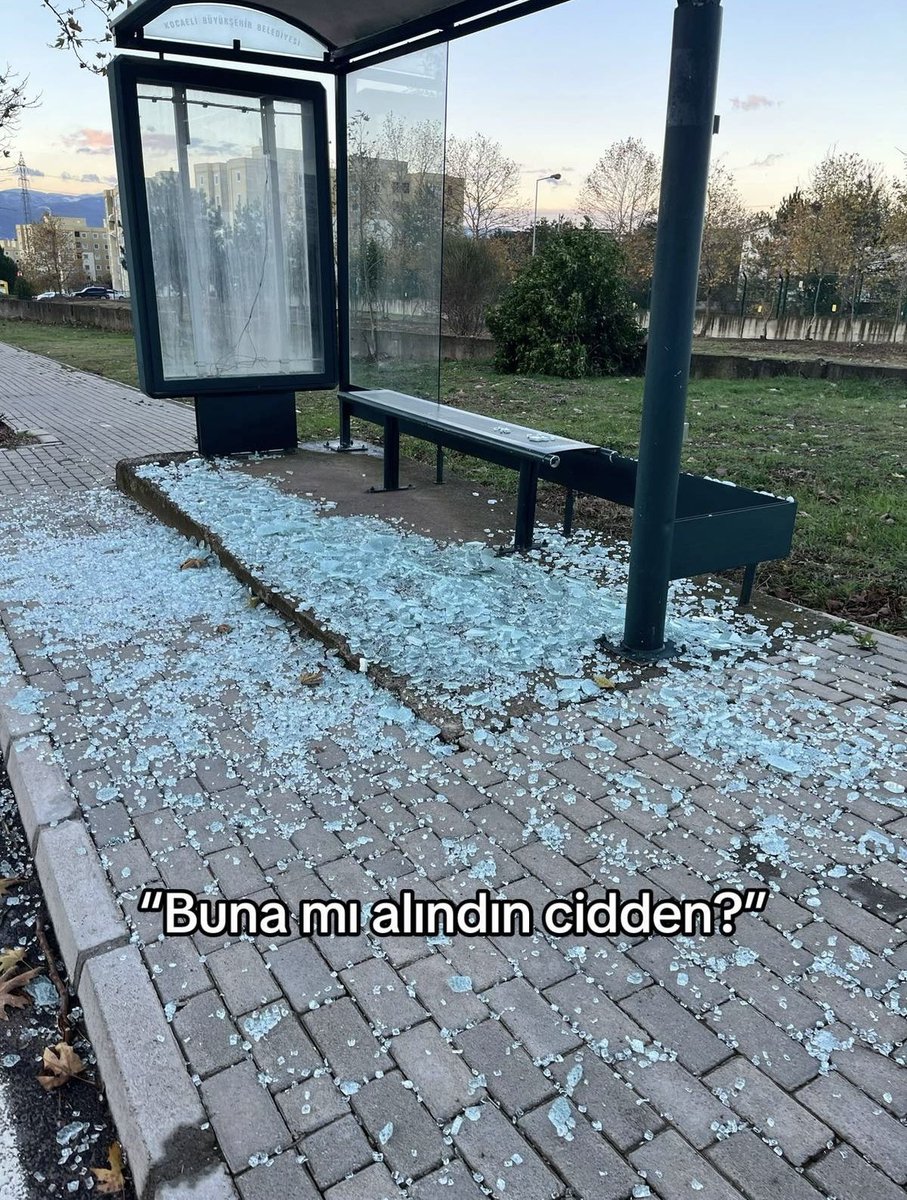 Delinindelisii 🐼 (@delinindelisi0) on Twitter photo 