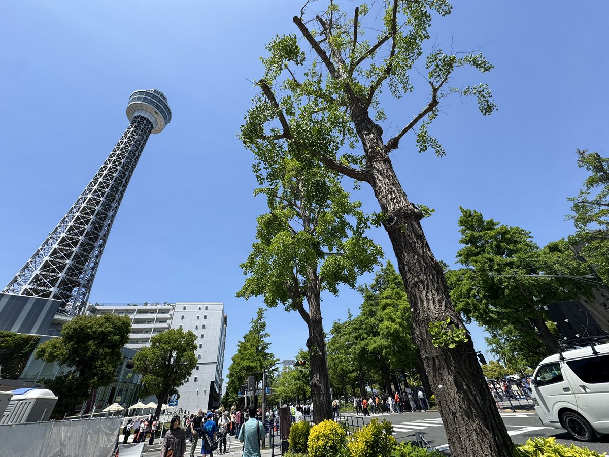 arakihisako's tweet image. 横浜民ゴールデンウィークといえば！コレ！
頑張っている姿は感動で涙でちゃう🥹🥹

#ザよこはまパレード
#ヨコハマ
#山下公園
#みなとみらい
#桜木町