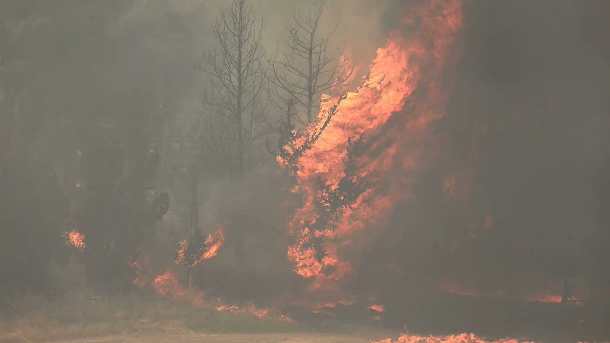 gbdrrrf's tweet photo. Fueled by #extremeHeat and historic drought, #wildfires near #Jerusalem have scorched over 5,000 acres, prompting a national emergency as #firefighters battle to protect lives, homes, and heritage sites. #Israel #israelwildfire https://t.co/fJA5PYYFgX