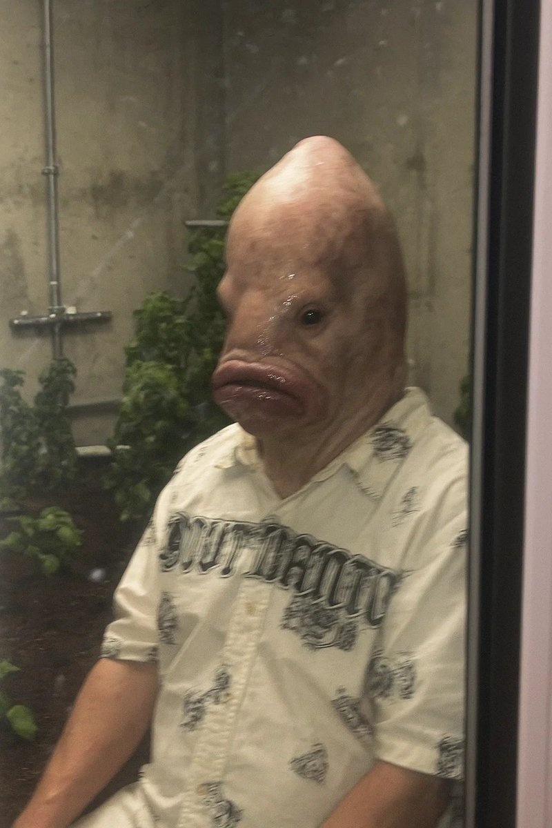 catsoup's tweet image. this is who i've been buying "experimental weed" from