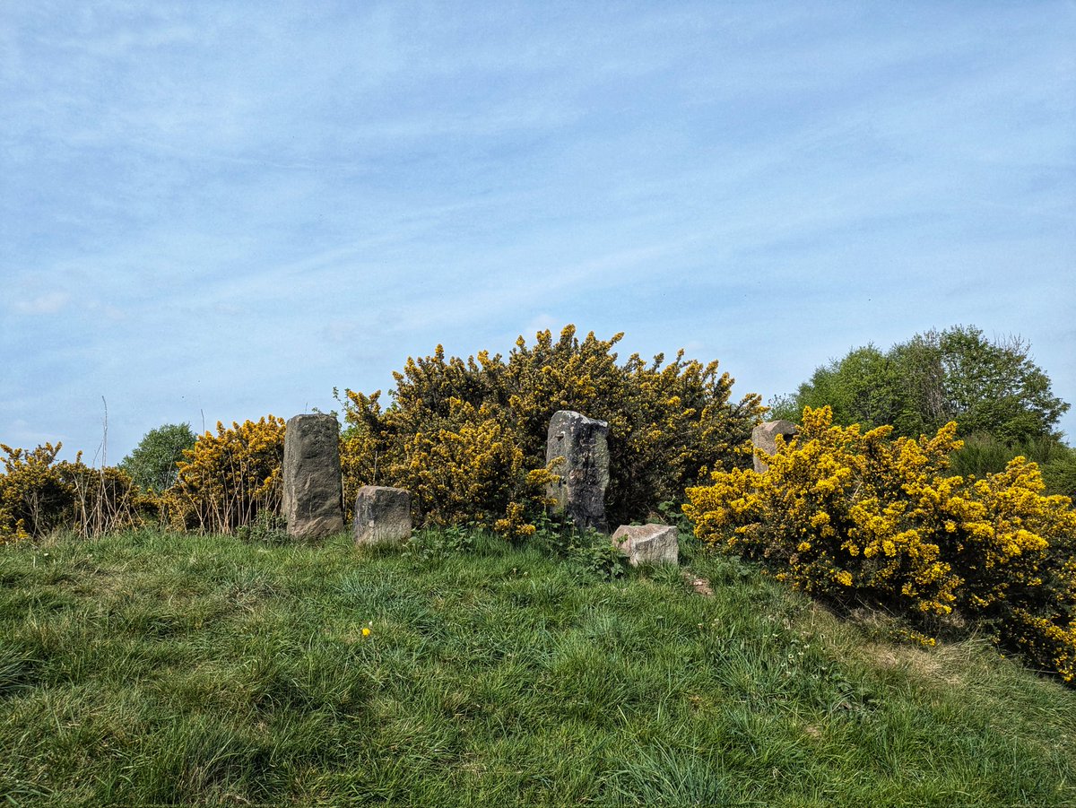 PhotoWalk55's tweet photo. Lovely walk, yesterday with Staffordshire Moorlands Walking Festival led by Anna from Writing With Purpose... All about being mindful and at one with nature. #smwalkingfest #staffordshirewalking #staffordshire https://t.co/0vxfgNfnp0