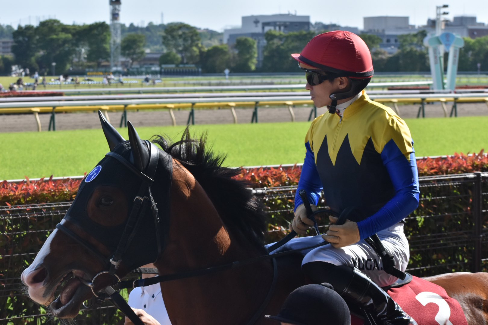 まねき馬　まねき馬倶楽部　レインボーカード　ママコチャ　川田将雅 まねき馬 2428 リバティアイランド 川田将雅 - メルカリ