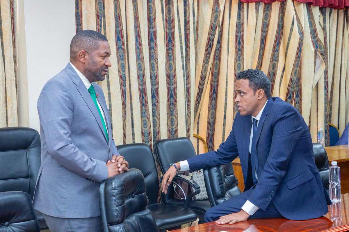 Hussein M Bashe tweet media