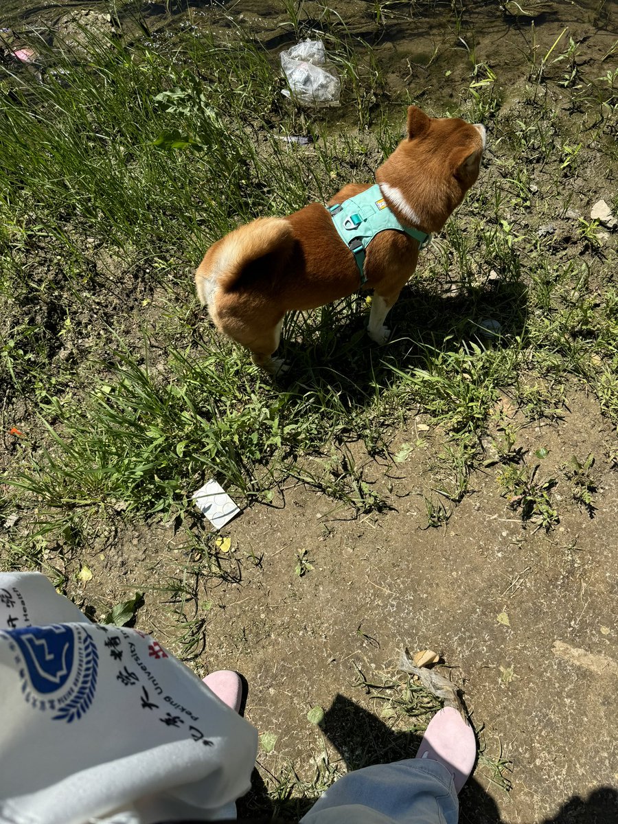 劳动节诚不欺我
比tm上班还累🫡要我半条命