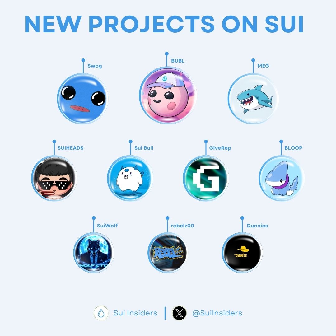 NEW PROJECTS ON SUI NETWORK😍

Sui is growing rapidly. Many promising new projects have chosen to build on $SUI 🔥

Let’s discover some hidden gems together👇

Like and RT to support us🙏

#Sui #SuiNetwork