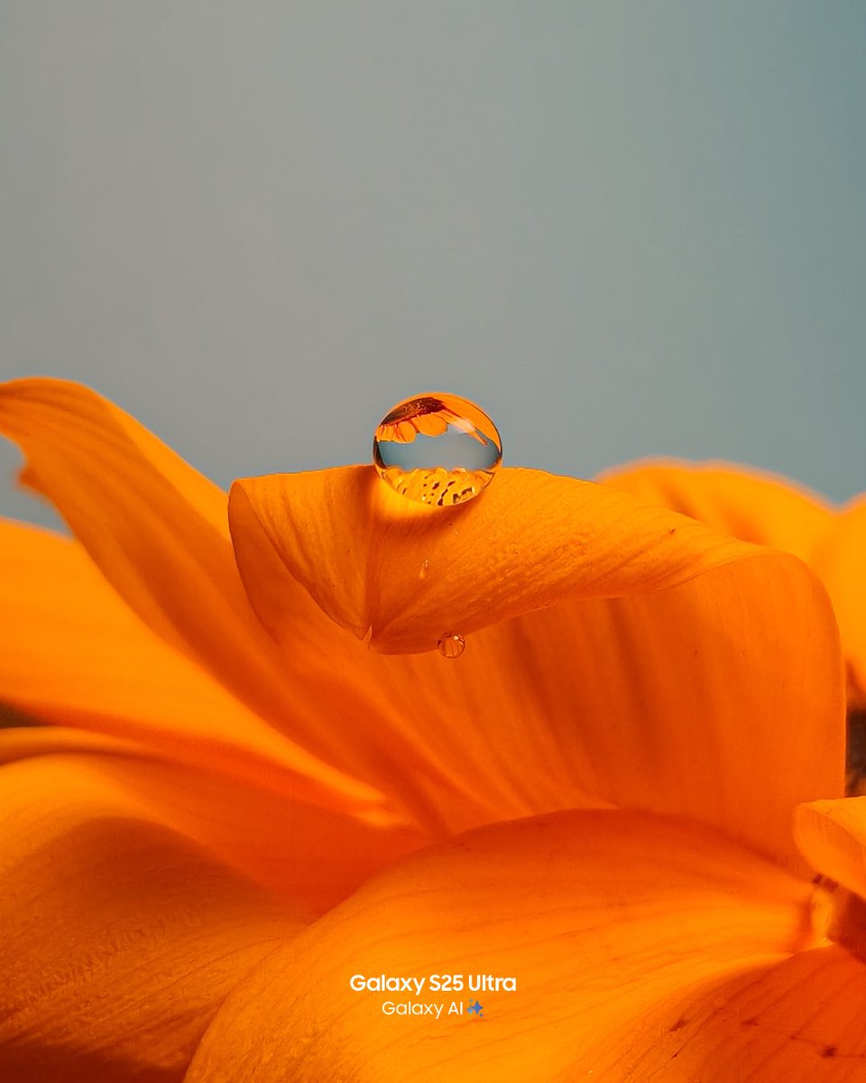 Aakashehe's tweet photo. Tiny world.🌼
Shot on @SamsungIndia https://t.co/WDZCkxQ4pj
