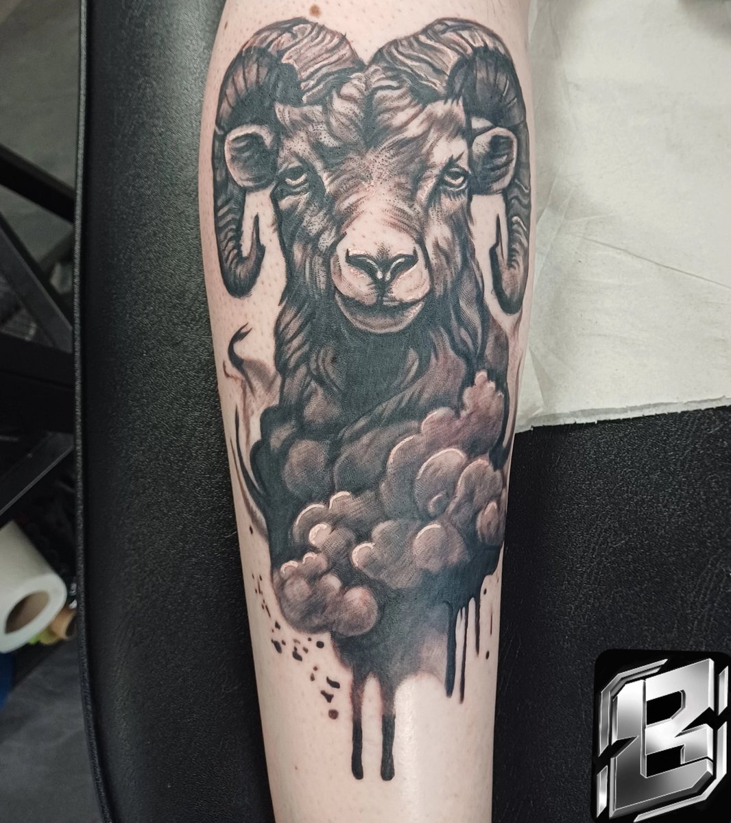 Leighton Mitchell tweet media