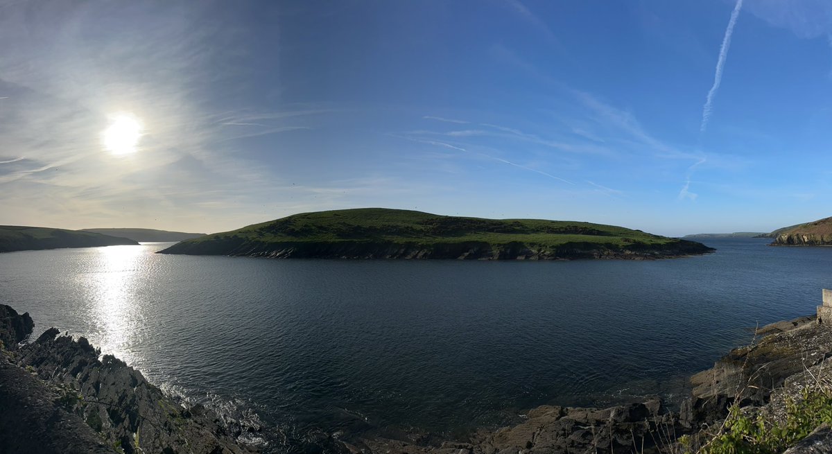 David Forde tweet media