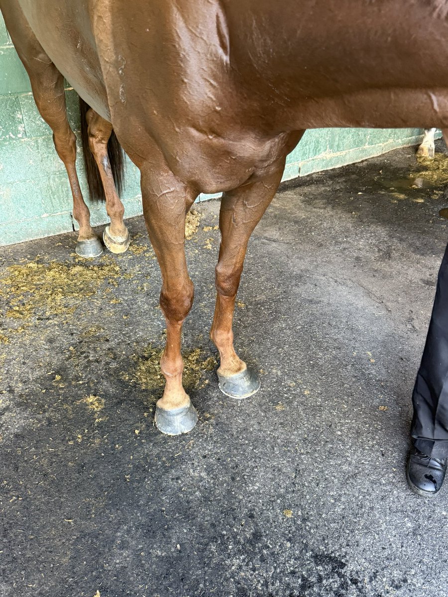 mitchellbeer tweet media