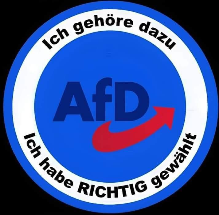 Nie wieder Altparteien!