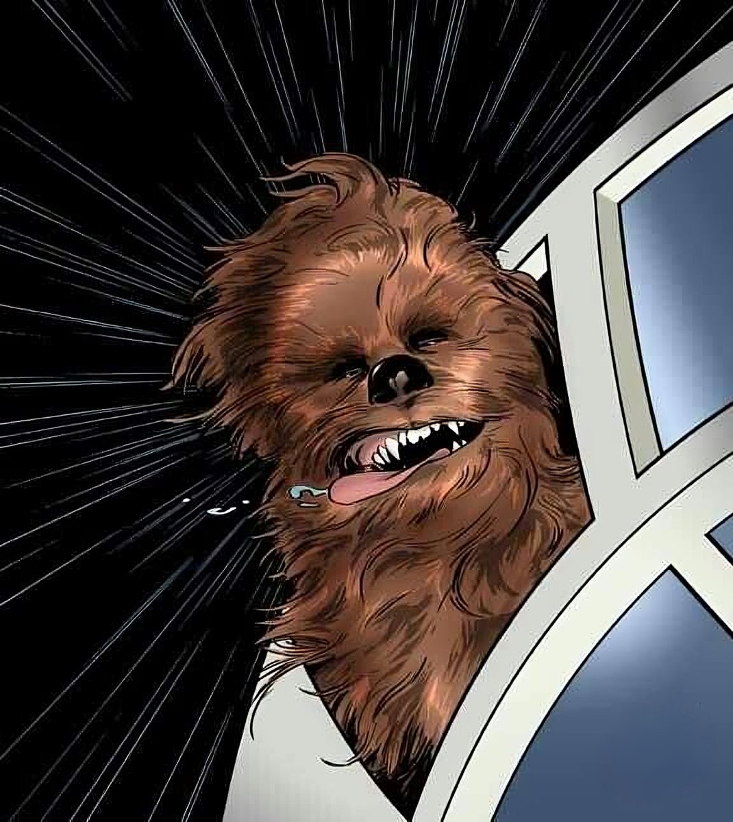 When you trust the Wookiee process and the gains hit warp speed.

#CHEWIE