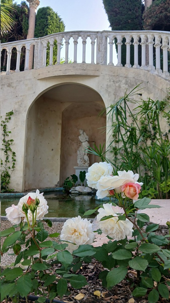 La Fetedes Roses commence aujourd'hui à la #VillaEphrussi de Rothschild.  Les 3 et 4 mai venez découvrir les rosieristes exposants, les 9 jardins remarquables et une collection sans pareille 🌹 😎 🌞