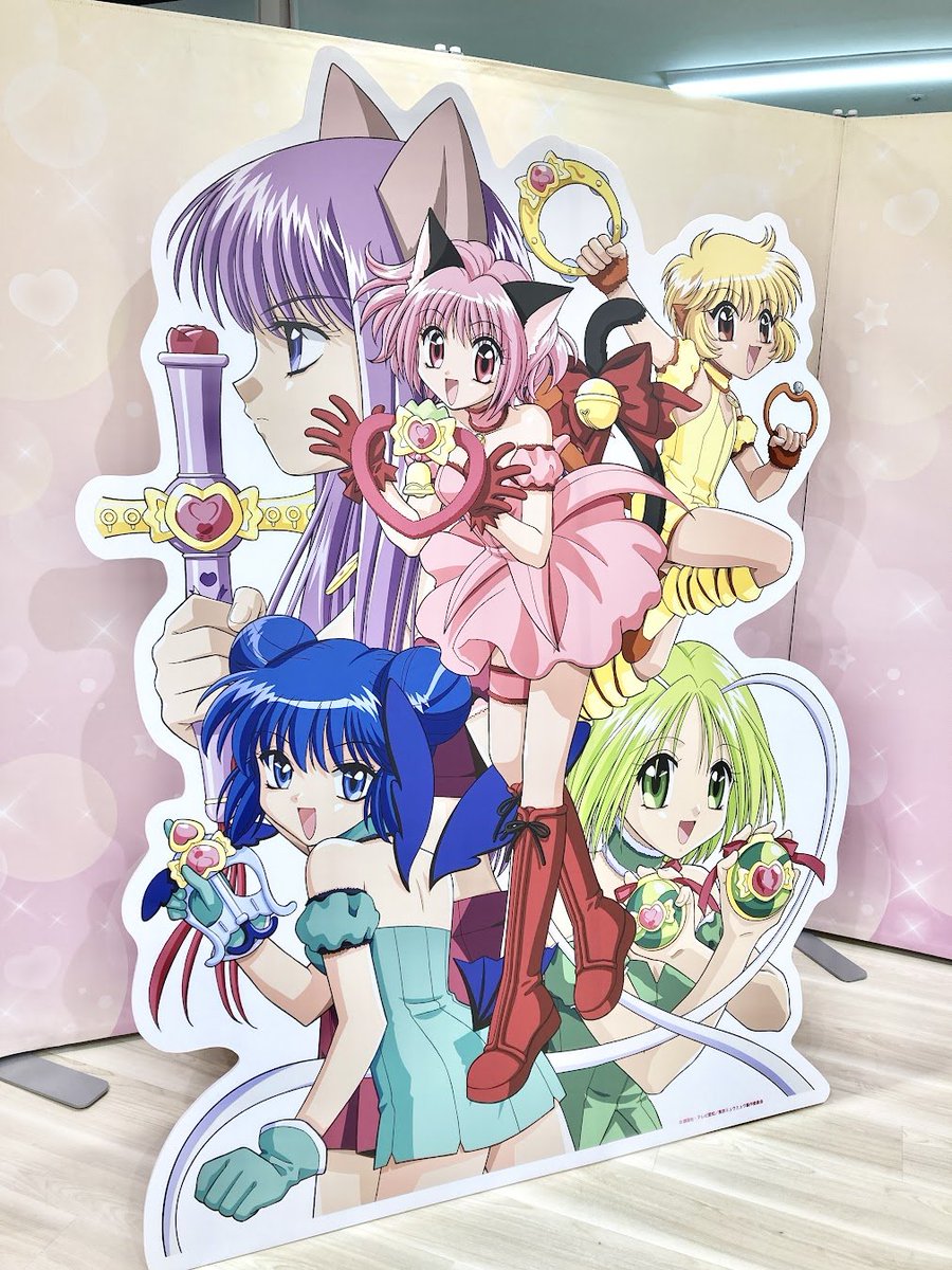 ✩˖°⌖┈┈┈┈┈┈┈┈┈┈┈┈°⌖.꙳✩ 🌟#キラキラRush🌟 『#東京