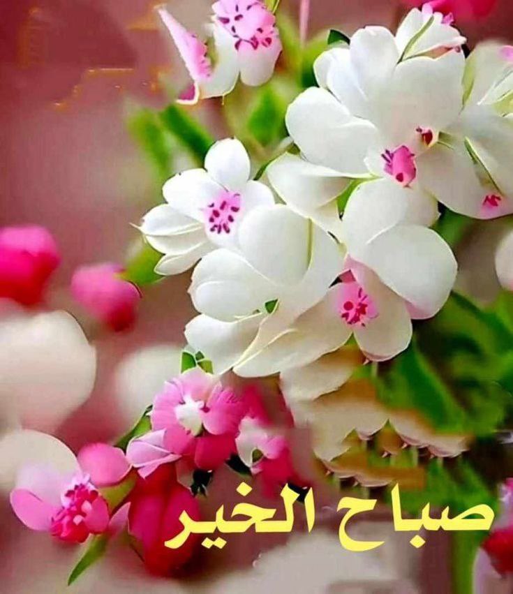 #صباح_الخير 

من ذاق عوض الله
هان عليه خذلان البشر.