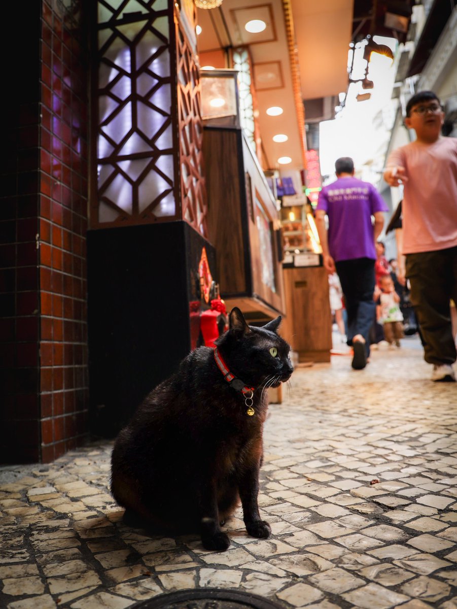 マカオ世界文化遺産。