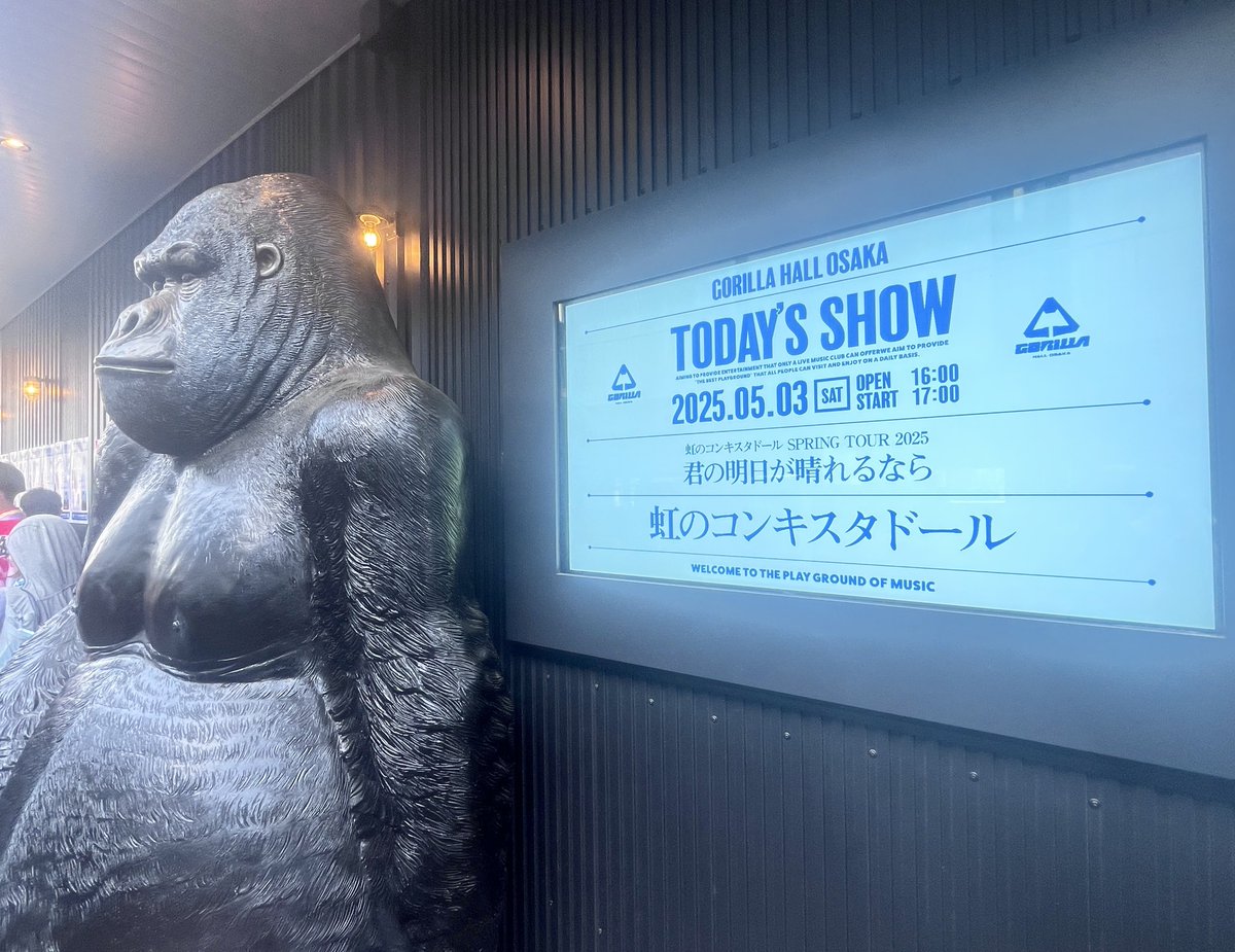 GORILLAきたー🌈