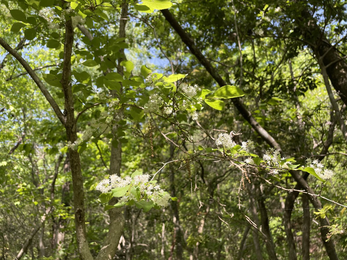 やまなか tweet media