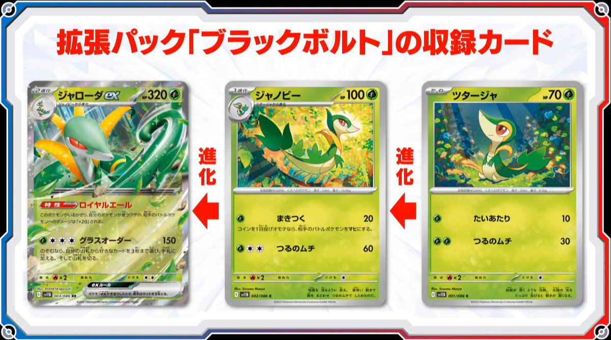 新カード「ジャローダex、ジャノビー、ツタージャ」ブラックボルト収録