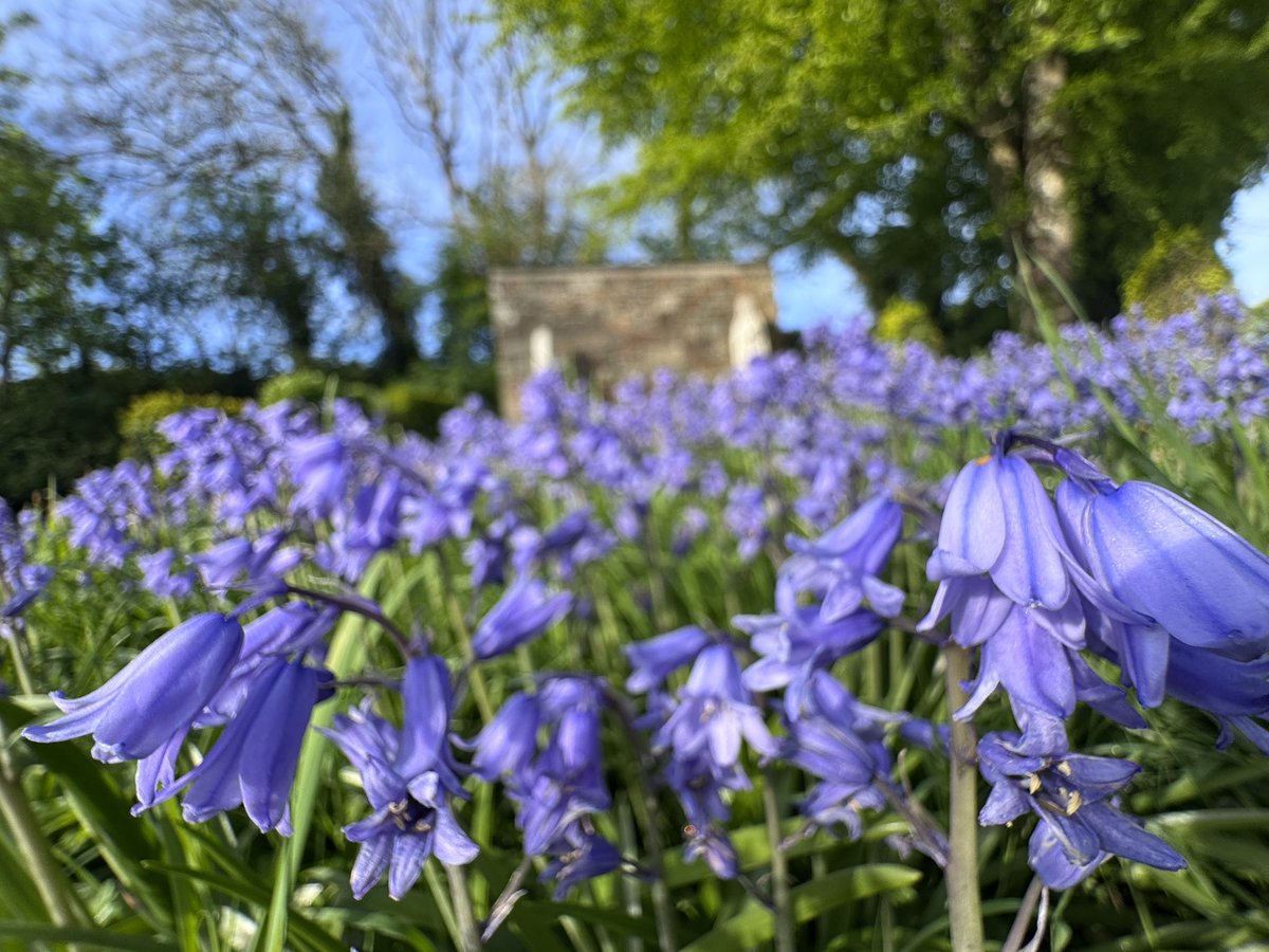 Maidin aoibhinn sna Déise.