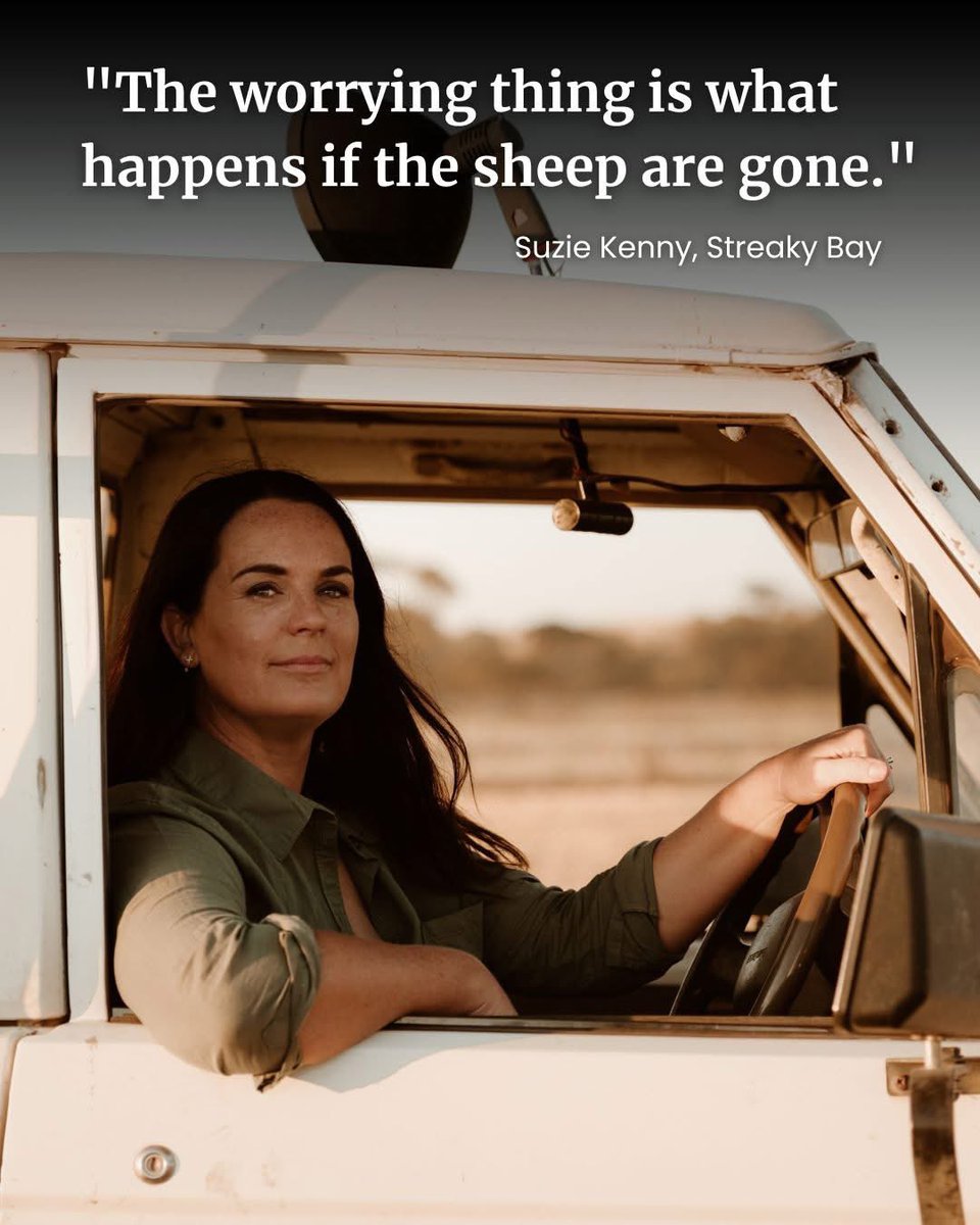 stockjournal's tweet photo. ๐ Streaky Bay farmer starts #saveoursheep campaign to address drought sell-off ๐ https://t.co/zqv5hAgQ0J https://t.co/kGcQHGvMUb