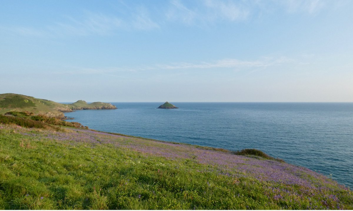Purple haze for days #bluebells #bankholidayweekend