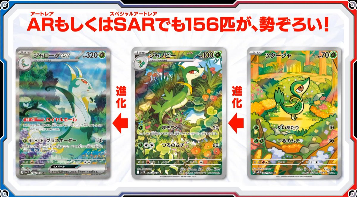 新カード「ジャローダex SAR、ジャノビーAR、ツタージャ AR」ブラック