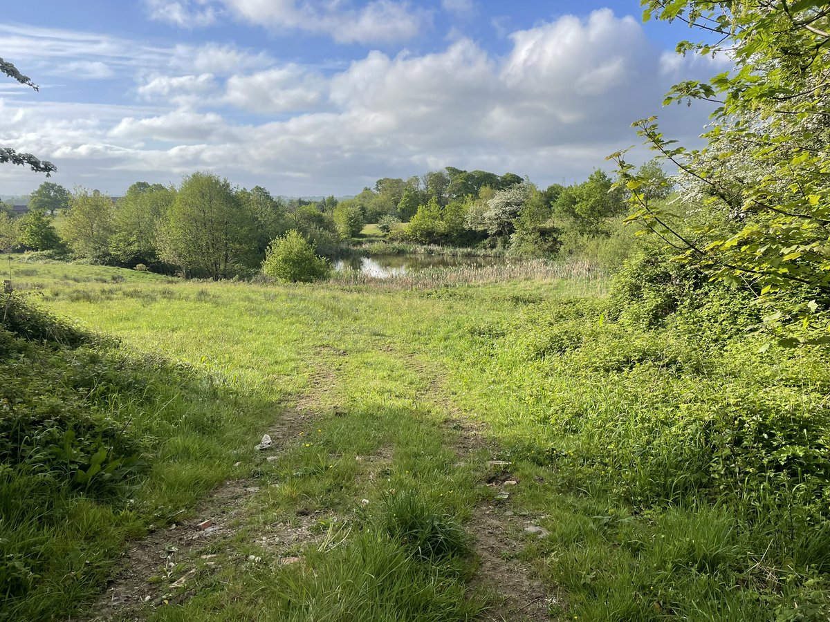 Alex Hughes (@alexhughes3s) on Twitter photo Blowing away the Saturday morning cobwebs. “On days when you feel like a wilting garden, gather yourself, roll up your lawn, bouquet your flowers.” <a href="/DeanAtta/">Dean Atta</a> <a href="/poetrybyheart/">Poetry By Heart</a> <a href="/PoetrySociety/">The Poetry Society</a> #poetry Blowing away the Saturday morning cobwebs. “On days when you feel like a wilting garden, gather yourself, roll up your lawn, bouquet your flowers.” <a href="/DeanAtta/">Dean Atta</a> <a href="/poetrybyheart/">Poetry By Heart</a> <a href="/PoetrySociety/">The Poetry Society</a> #poetry
